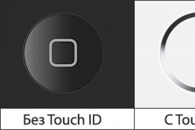 Touch ID iPhone-da işləmir